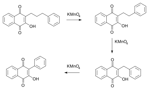 واکنش هوکر