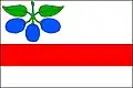 پرچم هورنی سلیونو