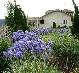 House in Crescent Bar resort, near Quincy