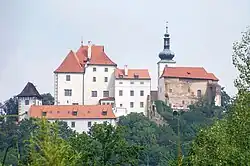 Castle in the village