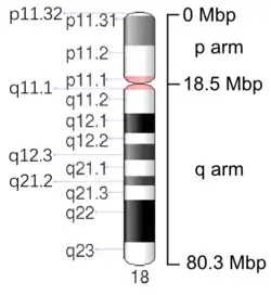 Map of Chromosome 6
