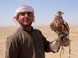یک سعودی، پوشیده از لباس بدوی سوری، یک باز شکاری را در دست دارد.