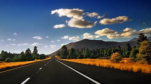 عبور بزرگراه میانایالتی ۴۰ از میان جنگل ملی کیبب