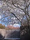 واشینگتن، دی.سی.