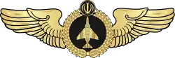 وینگ خلبانی جنگنده F4