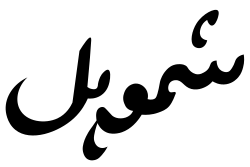 امضاء شیخ شامل داغستانی