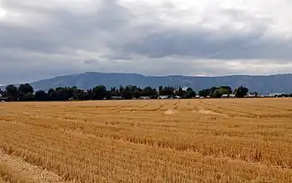 Fields near Imbler