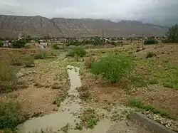 گوین