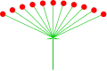گلآذین چتری