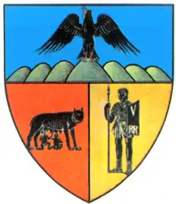 نشان شهرستان Năsăud، رومانی