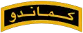 نشان پارسی بازو نیروهای کماندو ارتش