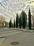 محوطه دانشگاه