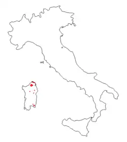 senza_cornice