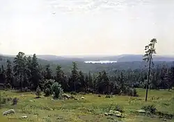 مسیر جنگل