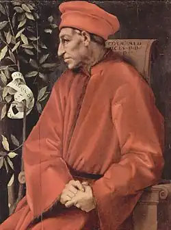 پرتره کازیمو اثر جاکوپو پونتورمو، شاخه برگ بو (il Broncone) نمادی بود که توسط جانشینانش مورد استفاده قرار می‌گرفت.