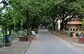 دانشگاه جادوپور
