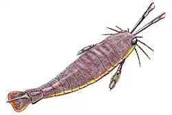  Image of how Jaekelopterus would have appeared in life