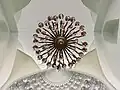 تزئینات مسجد جامع