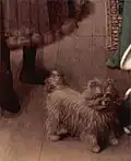 سگ به نشانهٔ وفاداری مرد به زن