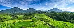 Panoramic image of a mountainous greenery