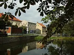 Pond