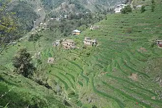 زمین مرتفع در منطه کبال سوات در پاکستان