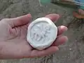 مهری که موجودی شبیه گوسفند یا بز را نشان می‌دهد