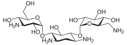 کانامایسین