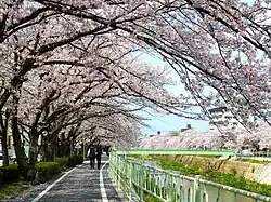 Kanare River