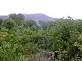 روستای کندز