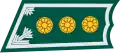 KapteeniFinnish Defence Force