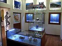 یکی از بخش‌های موزه پارینه سنگی