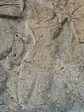 نجیب‌زاده ارمنی در حال هدیه دادن به شاپور یکم (همچنین احتمال دارد که این نجیب زاده، وزیر اعظم ساتراپ ارمنستان باشد که حلقه قدرت را از شاپور دریافت می‌کند.)