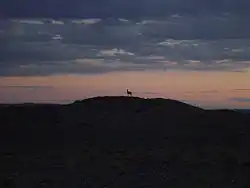 گور مغولی در زمان غروب آفتاب، نومغون