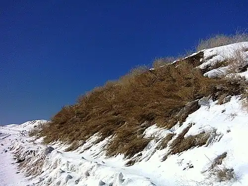 نزدیک پیست اسکی