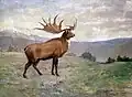 Irish Elk