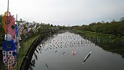 Koinobori streamers on the Tsuuda River