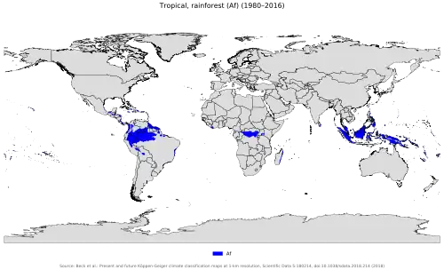 Tropical Rainforest Climate Region