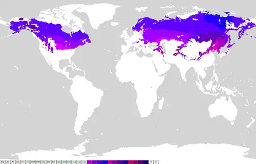 Koppen classification worldmap D