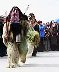 کوکِری بلغارستان