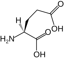 اسید گلوتامیک(Glu&nbsp;/&nbsp;E)