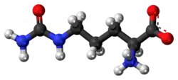 Ball-and-stick model of the zwitterion