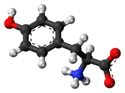 Ball-and-stick model of the L-isomer as a zwitterion