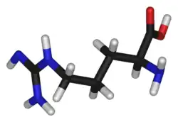Stick model of arginine (S)
