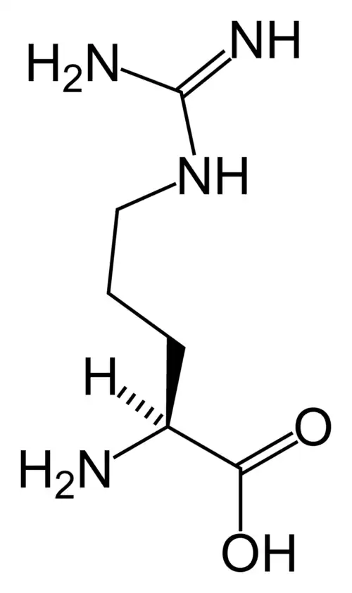 آرژنین(Arg&nbsp;/&nbsp;R)