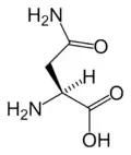 آسپارژین(Asn&nbsp;/&nbsp;N)
