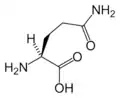 گلوتامین(Gln&nbsp;/&nbsp;Q)