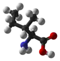 Chemical structure of Isoleucine