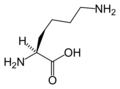 لیزین(Lys&nbsp;/&nbsp;K)