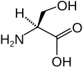 سرین(Ser&nbsp;/&nbsp;S)